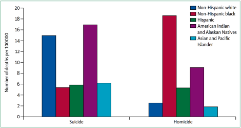Age-adjusted suicide and homicide rates in the USA by race and ethnic origin, 2010.